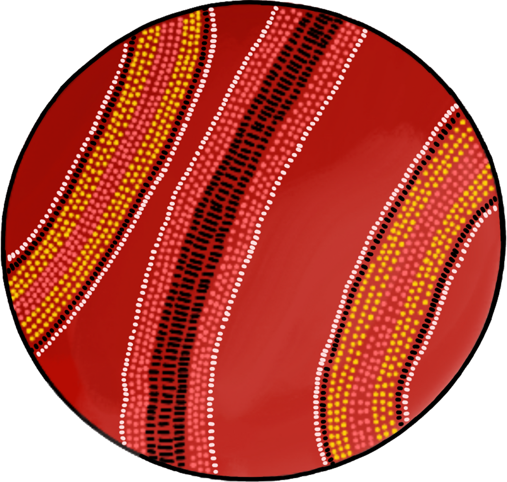 Cricket Ball with Aboriginal Artwork