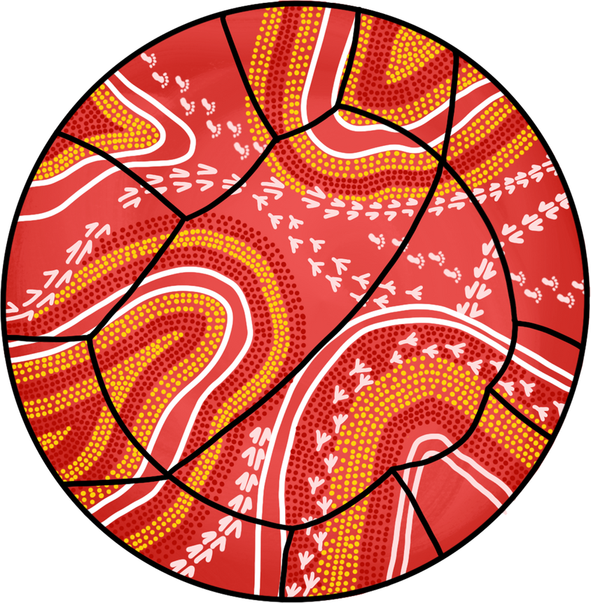 Netball with Aboriginal Artwork